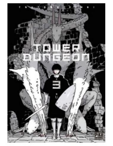 COMERCIAL GRUPO ANAYA S.A. TOWER DUNGEON 03