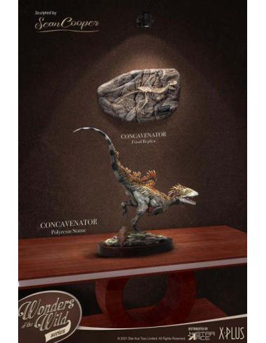 STAR ACE CONCAVENATOR DELUXE STATUE
