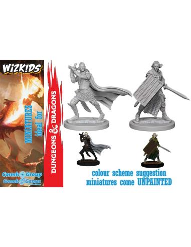 WIZKIDS PATHFINDER DCUM ELF MALE PALADIN