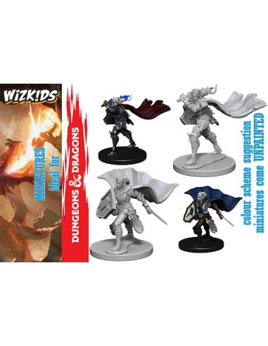 WIZKIDS PATHFINDER DCUM HUMAN FEMALE PALADIN