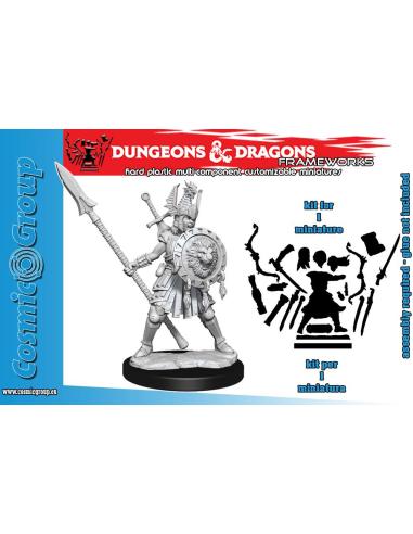 WIZKIDS D&D FRAMEWORKS-HUMAN FIGHTER FEMALE