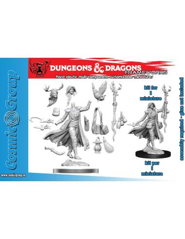 WIZKIDS D&D FRAMEWORKS-HUMAN DRUID FEMALE