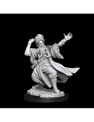 WIZKIDS D&D FRAMEWORKS-HUMAN WIZARD MALE