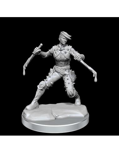 WIZKIDS D&D FRAMEWORKS-HUMAN ROGUE FEMALE