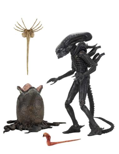 ALIEN ULTIM 40TH ANN BIG CHAP AF