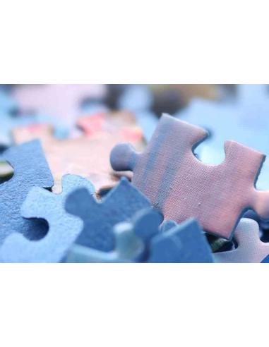 POLLON PUZZLE 1000 PZ