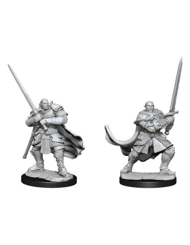 Wizkids D&D Nolzur's Marvelous Miniatures Miniaturas sin pintar Half-Orc Paladin Male Caja (2)