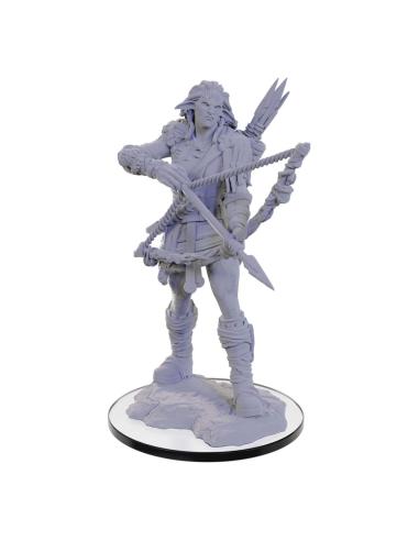 Wizkids Pathfinder Deep Cuts Miniatura sin pintar Wood Giant