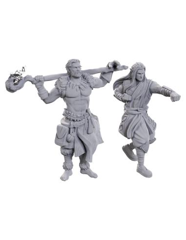 Wizkids D&D Nolzur's Marvelous Miniatures Pack de 2 Miniaturas sin pintar Archdruid & Martial Arts Adept