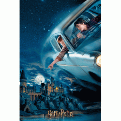Puzzle Libro lenticular Harry y Ron en Ford Anglia Harry Potter 300pzs - Imagen 1