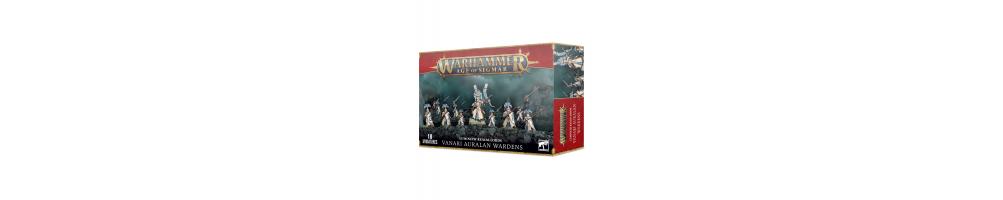 High Elf Warhammer: Guerreros Nobles del Reino